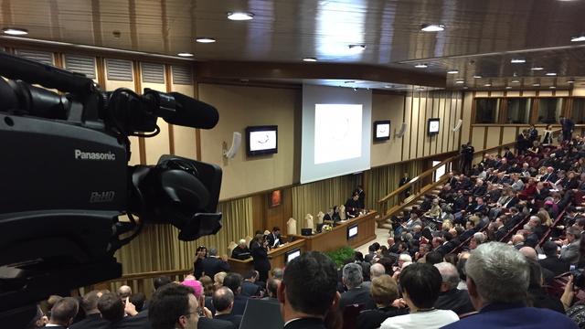 Vaticano. Convención sobre el matrimonio 201411